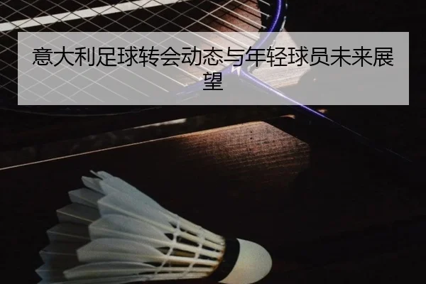意大利足球转会动态与年轻球员未来展望
