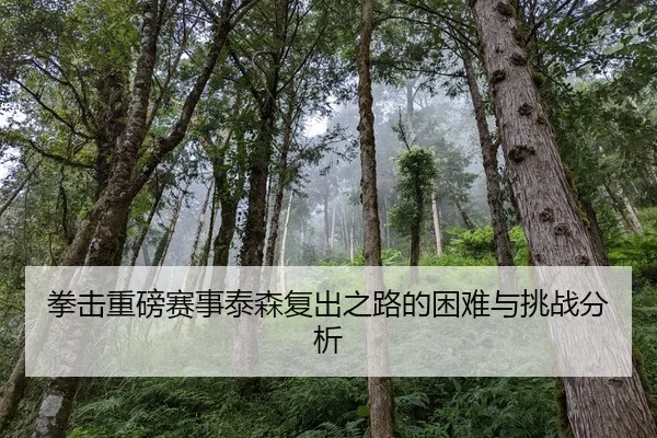 拳击重磅赛事泰森复出之路的困难与挑战分析